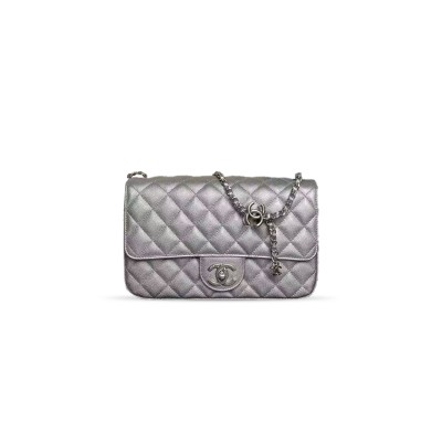 CHANEL CLASSIC FLAP WALLET ON CHAIN WOC AS5756 (23.5*14.5*7cm)